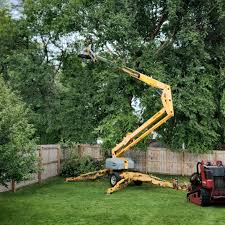 Best Tree Preservation Services  in West Unity, OH